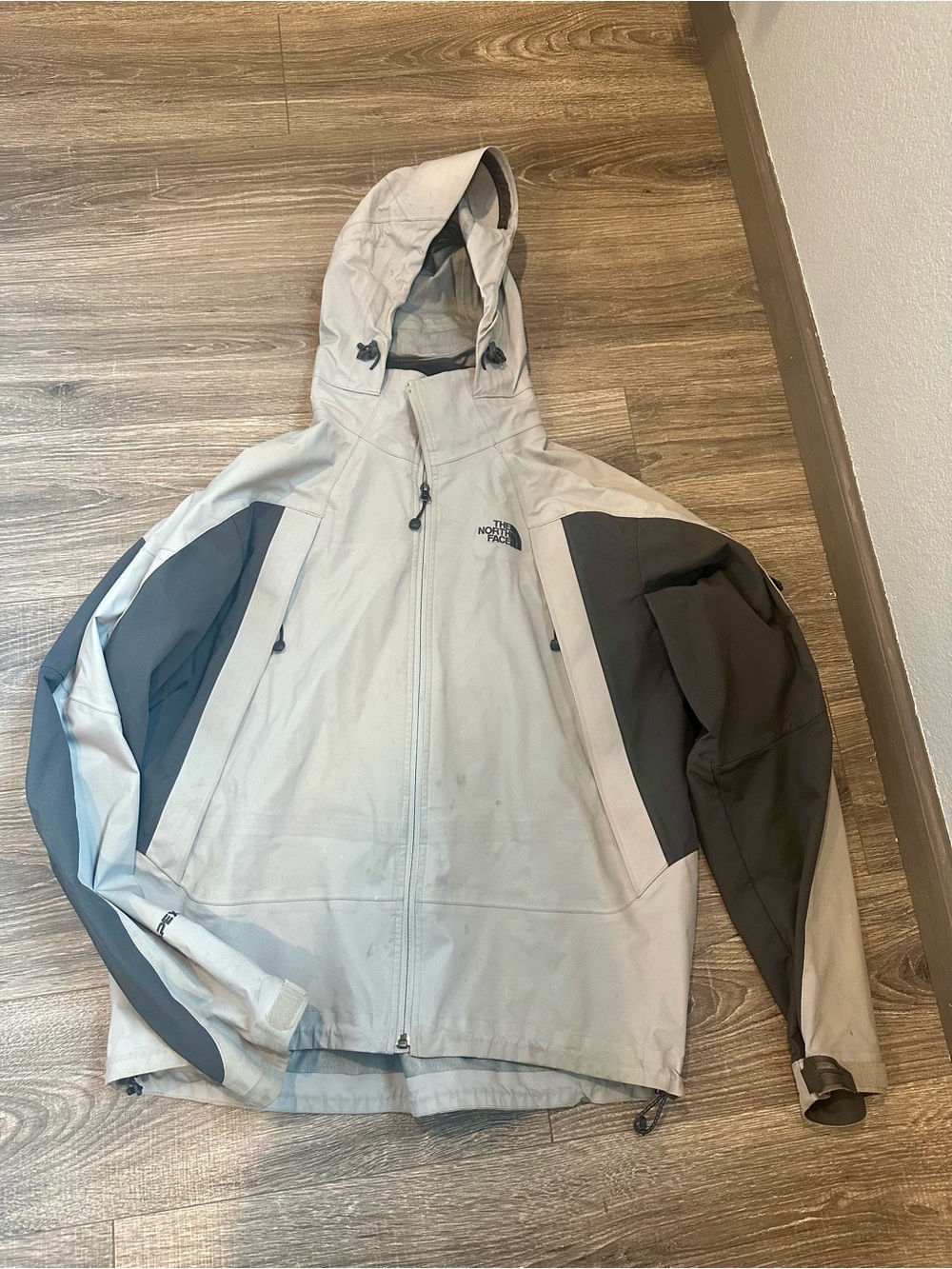 The North Face Men's Large Summit Series Hooded Ski Jacket in Light Gray